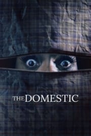 The Domestic imdb puanı